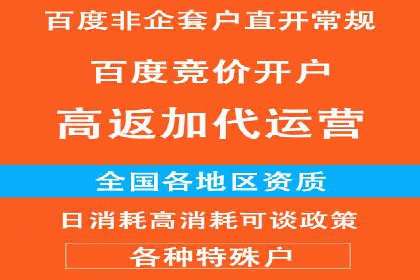 成功案例：百度推广代理助力电商突破